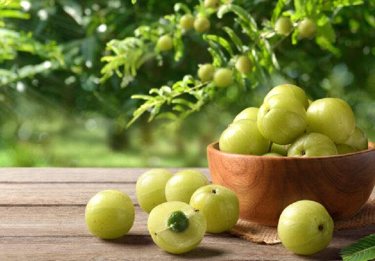 Can Amla Beat Modern Supplements?