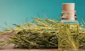 Can Rosemary Oil Regrow Hair? What Science Really Says About Hair Loss