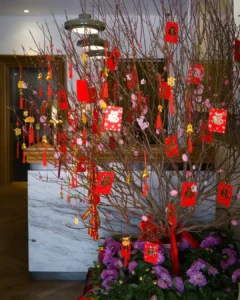 चंद्र नव वर्ष (17 फ़रवरी, 2026):