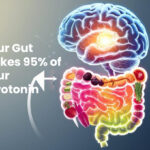 Gut Brain Axis and Serotonin production in Hindi Indian Diet probiotics