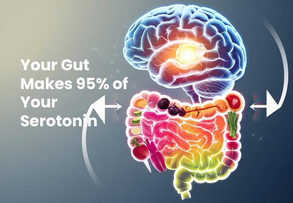Gut Brain Axis and Serotonin production in Hindi Indian Diet probiotics