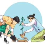 country pays people to plant trees Ecuador PES program deforestation solution